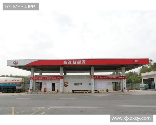 数据分析揭示LNG市场配合表现及其对能源供应链的影响探讨