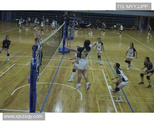 成都排球队的精神之旅：揭秘排球背后的团队意识与文化传承