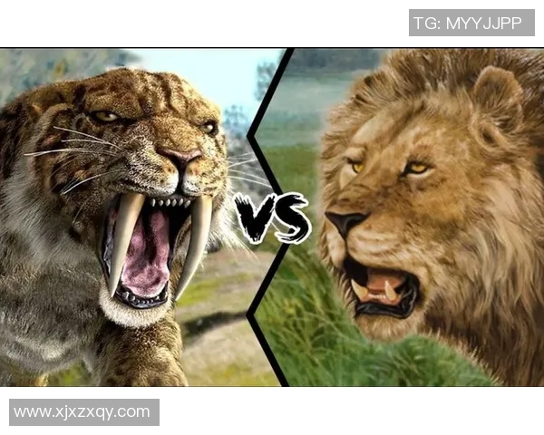 山形山神与福田黄蜂的激烈对决谁将赢得这场精彩的较量