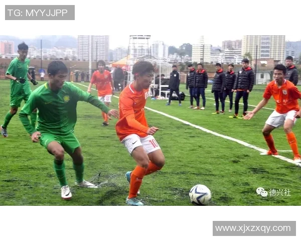 绿城与北控精彩对决视频回顾赛场瞬间尽在眼前